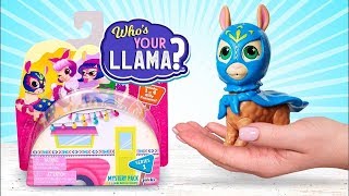 Hol dir dein Lama ohne Drama: Lama Spielzeug Auspack-Session