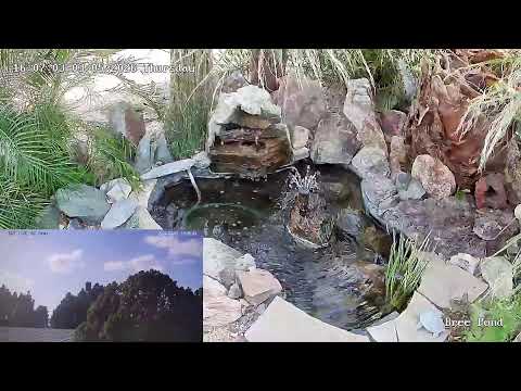 24/7 Live AZ Skies.. ❄Winter in Arizona🌵