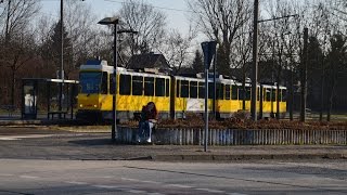 preview picture of video 'Tram und Bus in Hellersdorf'