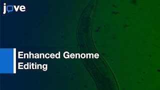 Enhanced Genome Editing with Cas9 Ribonucleoprotein in Cells and Organisms