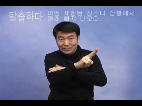 「자진」의 한국수어 표현