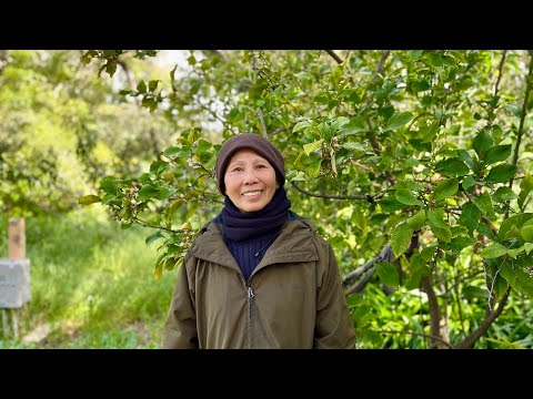 Be An Observer, Not a Victim | Sister Trúc Nghiêm | 2022-11-13 (TRANSLATION)