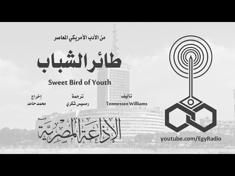 من الأدب الأمريكي׃ طائر الشباب ˖˖ تينيسي ويليامز