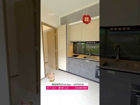 飞扬 Youtube Video