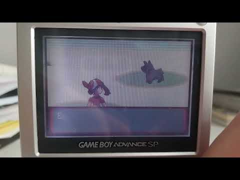 Full Odds Shiny Mudkip in Pokemon Sapphire (2665 SRs) [Pokemon Sapphire Badge Quest Part 1]