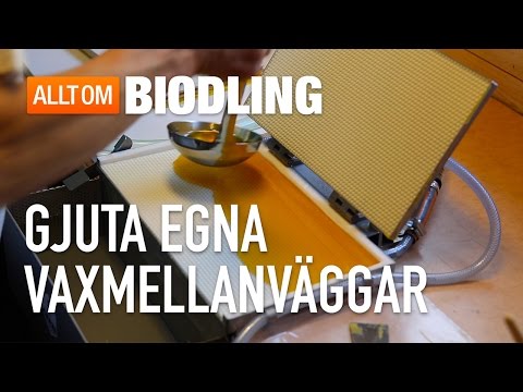 Gjuta egna vaxmellanväggar med kakgjutform - Bivax - Biredskap