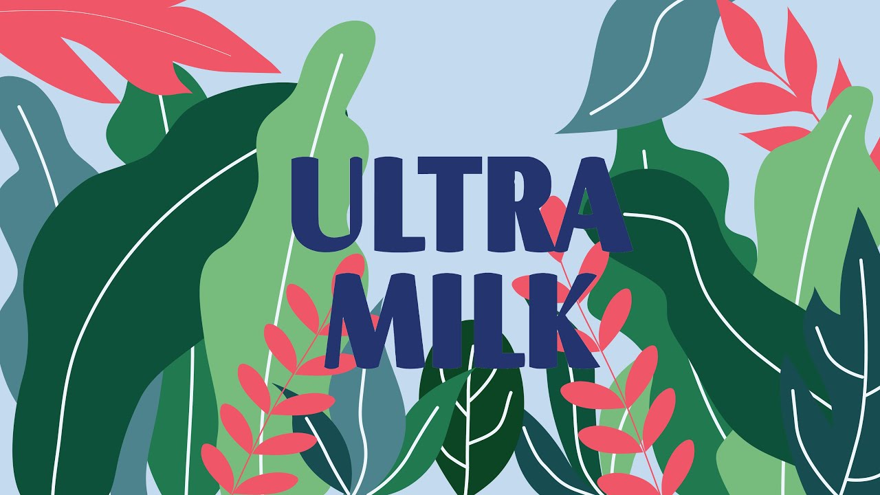 Motion Graphics - Jasa Video Animasi Motion Graphic 2D - 2