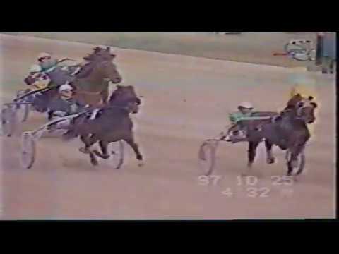 ALLYHILLS HICO - "Koztarsasagi Dij" 2100m - Budimpešta (HU) 1997