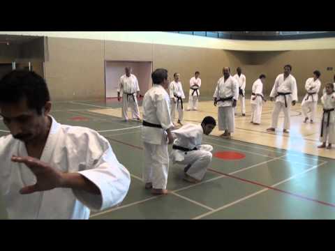 2010 Joint Shito Ryu Shotokan Karate-Do Training at UH