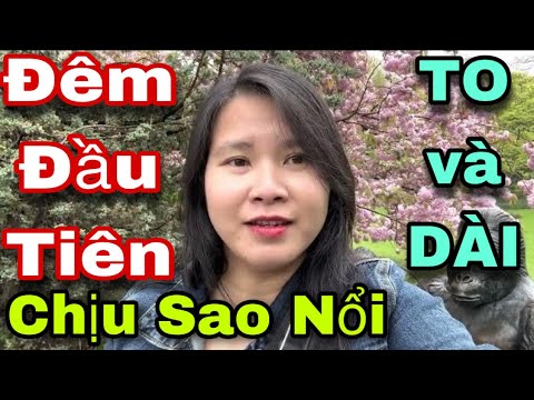 , title : 'Chịu Đời Sao Thấu❗️CHỒNG Mỹ VỢ Việt ĐÊM ĐẦU TIÊN RỚT NƯỚC MẮT - Chuyện Lạ có thật ❗️” SIÊU TO KHỦNG'