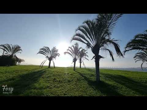 [4k] Walking in Fluminense Federal University │Rio de Janeiro - Brazil│Gragoatá Campus Tour 60FPS