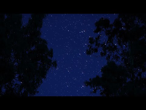 Cricket & Insects Chirping at Starry Night | Nighttime Ambience | 10 Hours | Nature Sleep Sounds