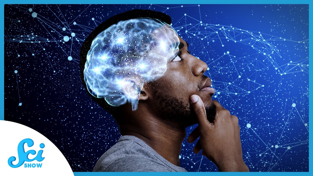 How Our Brains Learn Consciousness