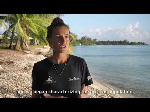 𝙈𝙊𝙆𝘼𝙍𝙍𝘼𝙉 𝙎𝘾𝙄𝙀𝙉𝘾𝙀🦈