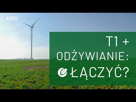 Film na temat: { video.title }}