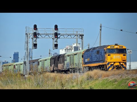 Dynon's Yard Shunters on the Sadleirs | PN's 9783/4V Sadleirs Shunt (2018)