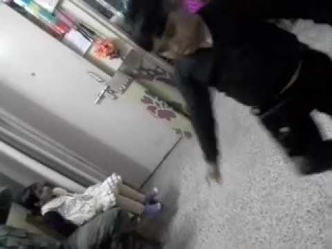 Telugu song child dance srujan