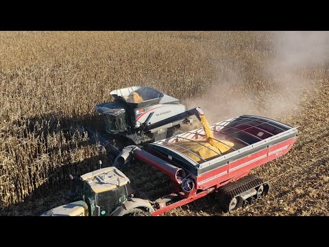 New Gleaner S97 Speeding through Corn Acres
