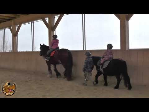Hufschlagfiguren und Bahnregeln