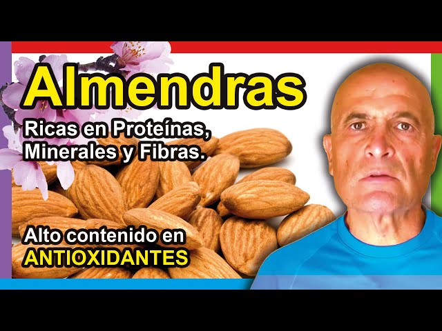 Video de pronunciación de Prunus amygdalus en Inglés