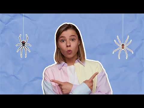 When to Go to the ER for a Spider Bite