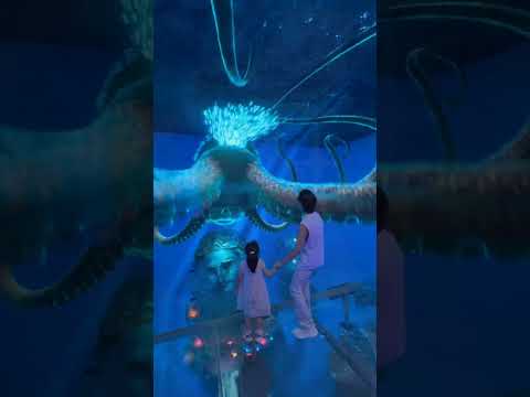 Wow, Foshan is so cool! I have to go there! I definitely need to bring my kids to experience #usa#