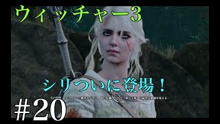 ウィッチャー３ シリ操作パート 実況プレイ改＃20 Ue3