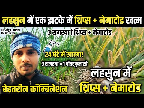 Lahsun me Thrips Control: 24 घंटे में रिजल्ट! 🚀 | Garlic Jalebi Rog &amp; Nematode Treatment 2026