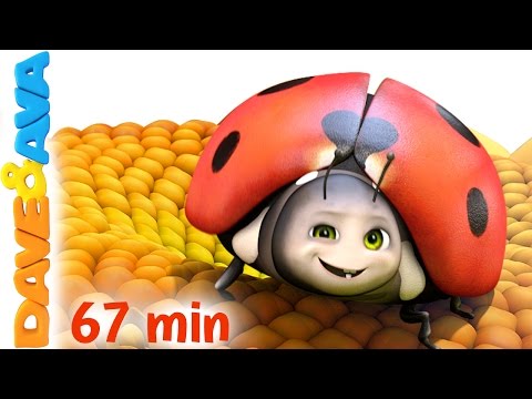 🐞 Five Little Ladybugs | Nursery Rhymes Collection and Kids Songs from Dave and Ava 🐞 Video