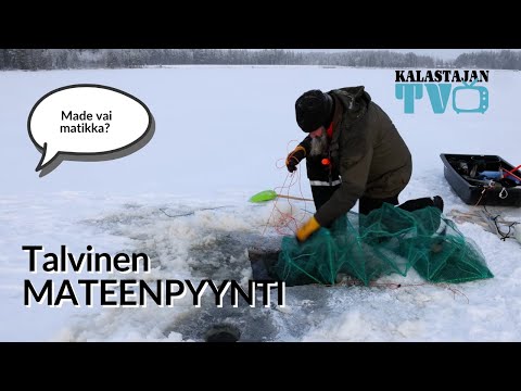 Millaista on mateen talvipyynti? | Kalastajan TV