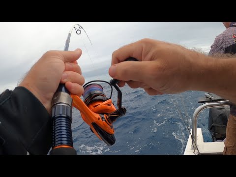 These FISH are FULL UP!! Catching fish cast for cast. Fishing South Africa.