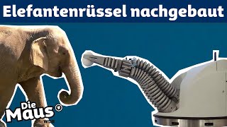 Bionic Rüssel | DieMaus | WDR