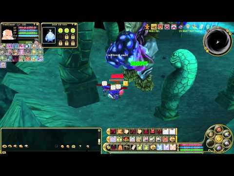 Insanity Flyff E260 - Quicky Cove Run