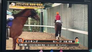 【本馬場入場実況】第86回菊花賞G1
