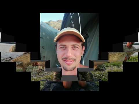 River Carp Fishing Dunav 2019