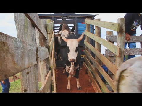 CIRCUITO SAFRA NOVA 2020 - CIA SOL NASCENTE (1ª Etapa)