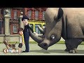 CHAPLIN CO Safary At The Park