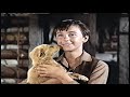 Closing To Old Yeller 1992 VHS