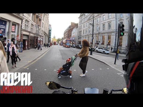 Daily Observations 291