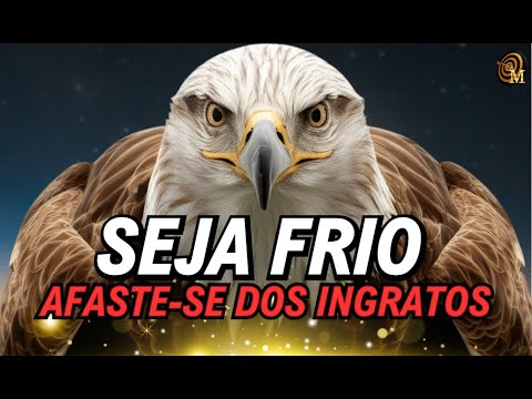 🟢FAÇA ESSAS REFLEXÕES DE VIDA: ALCANCE SABEDORIA