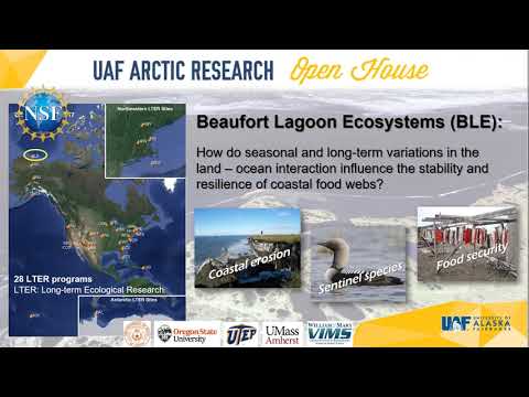 Beaufort Lagoon Ecosystem Long Term Ecological Research