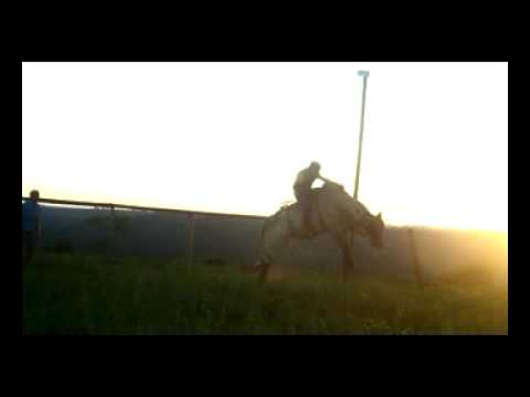 Eduardo Sousa V Bradok