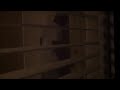 Team Creed Reupload Knock Knock Prank On Raging Dad