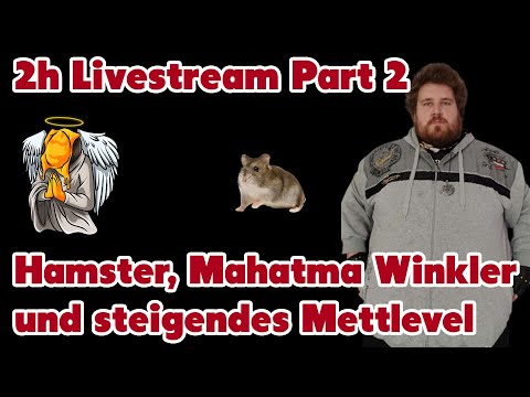 Erst Mettlevel 100 Sachen 80, dann Mahatma Winkler - 2h Livestream Part 2 - Best of - Ofi Reaction