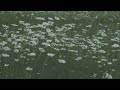 Elson Complex - Upon A Time