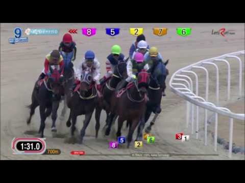 Spring Stakes 2017 - Pinot Noir (English)