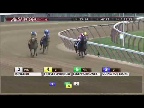 Personal Ensign Stakes 2017 -  Forever  Unbridled