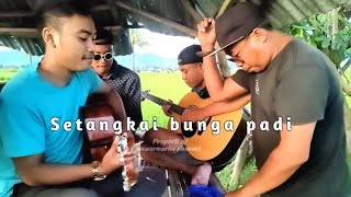 Download lagu Setangkai bunga padi cover junior Dompu mp3