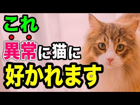 猫が自分のテリトリーをマーキングしないようにするためのヒント