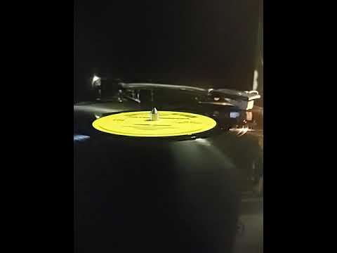 Delton Screechie- Come again